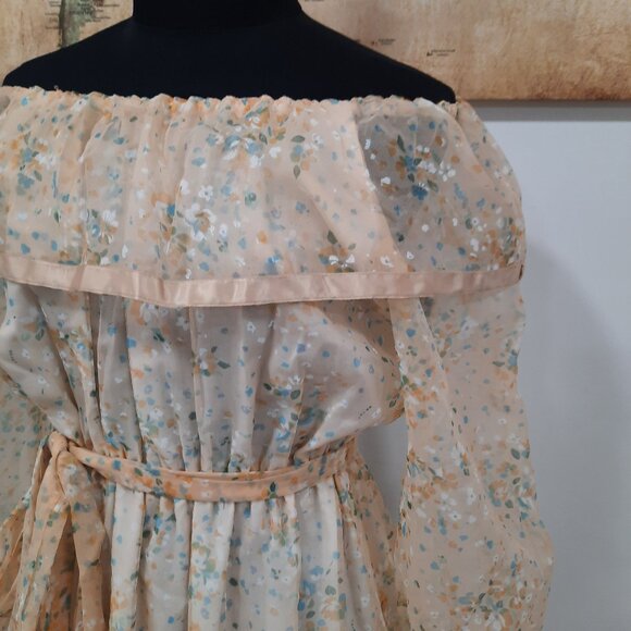 Vtg 60s handmade sheer peach gown - Picture 8 of 16